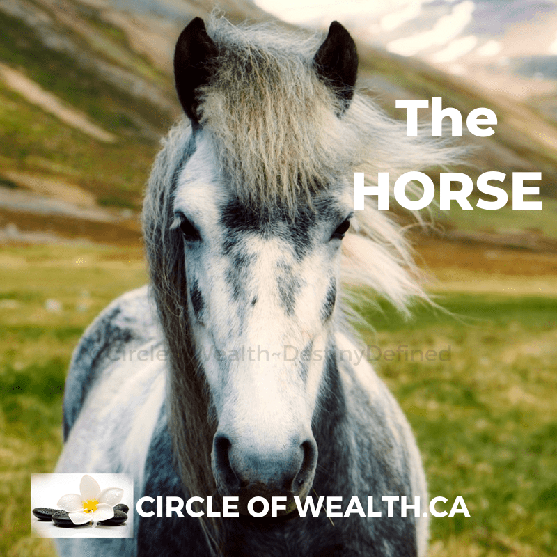 horse chinese zodiac