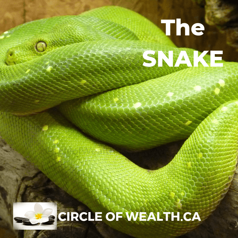chinese zodiac the snake