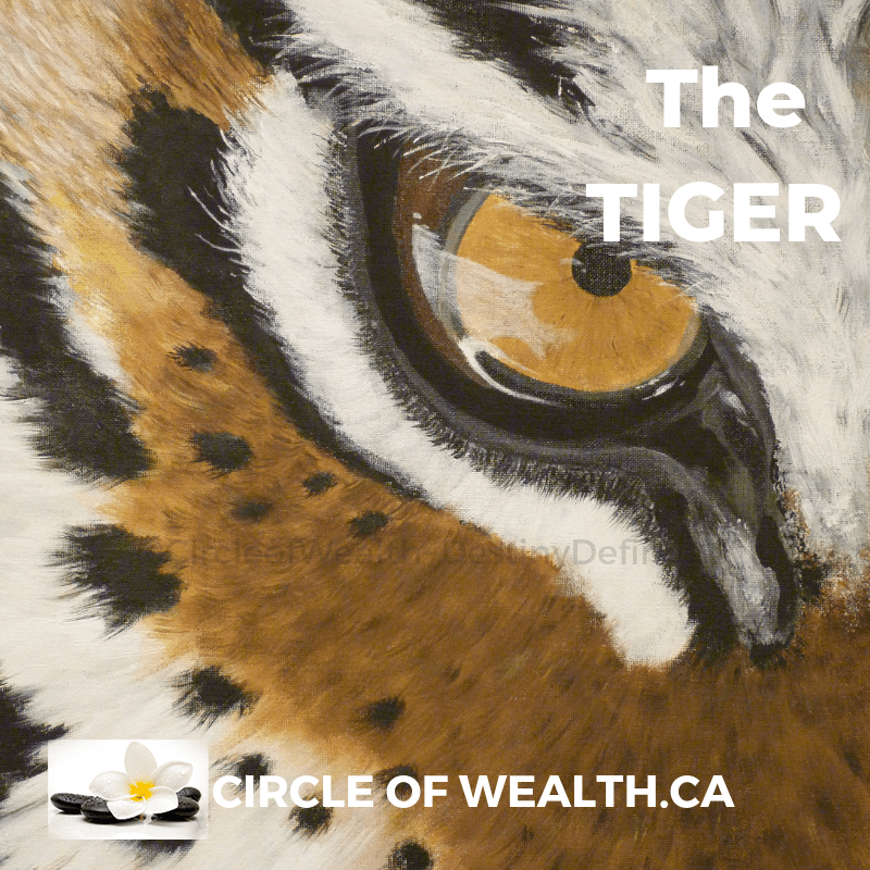 tiger chinese zodiac